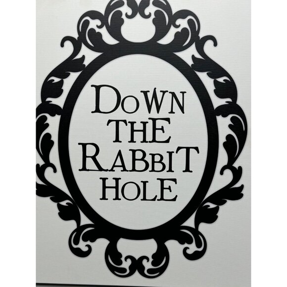 Down The Rabbit Hole Black & White Decorative Wall Art 20x16"canvas READ NEW - Picture 2 of 9